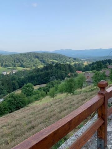 Wine House, Zidanica Gruden Villa Novo Mesto Luaran gambar